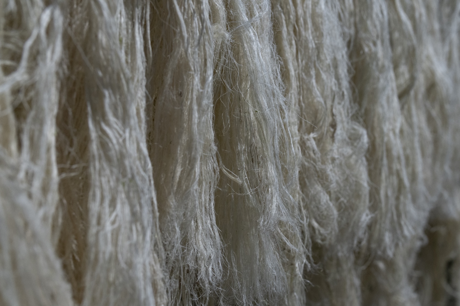 Jersey fabric made from pineapple fibre and organic cotton