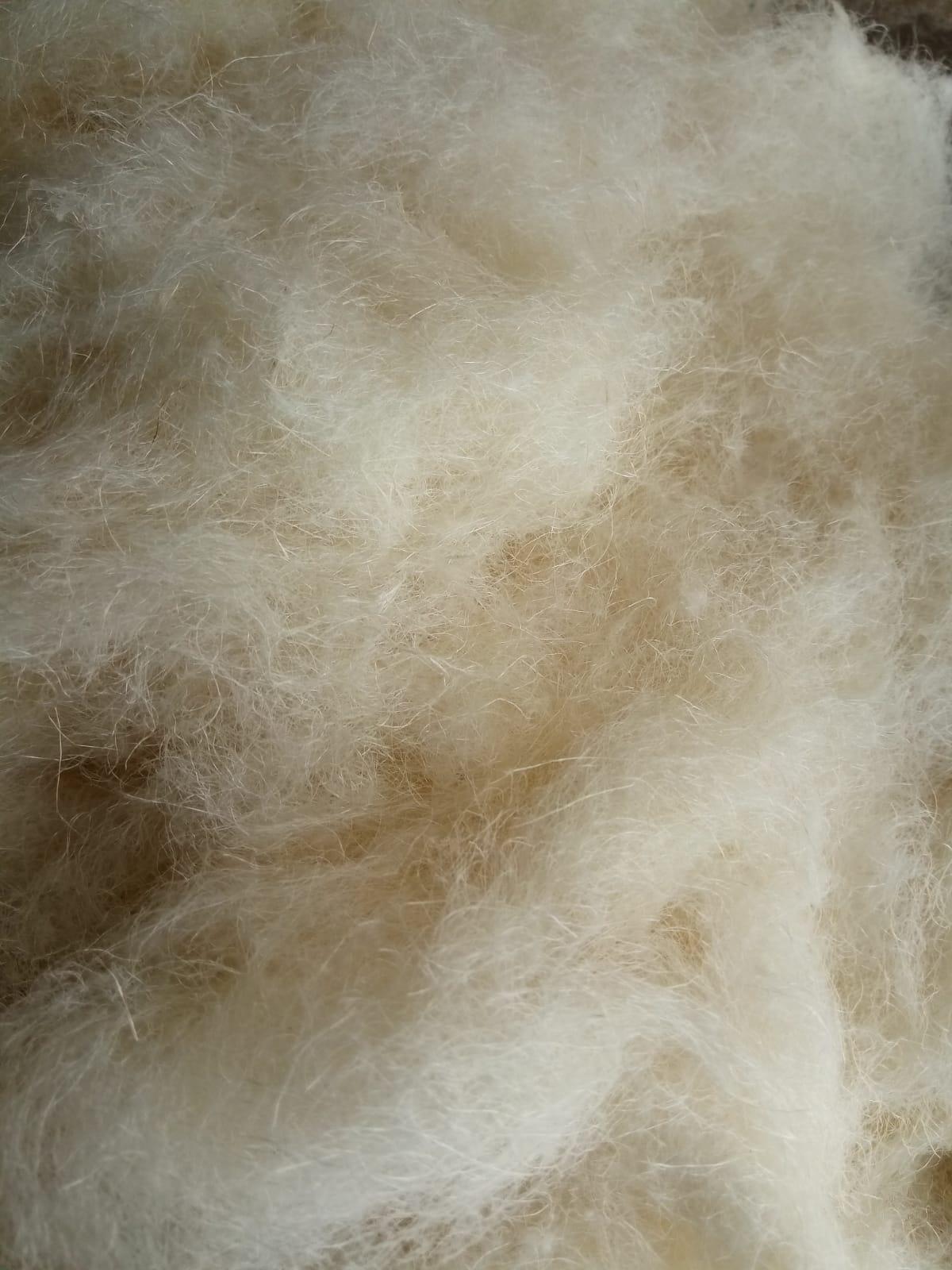 Raw extracted pineapple leaf fibre