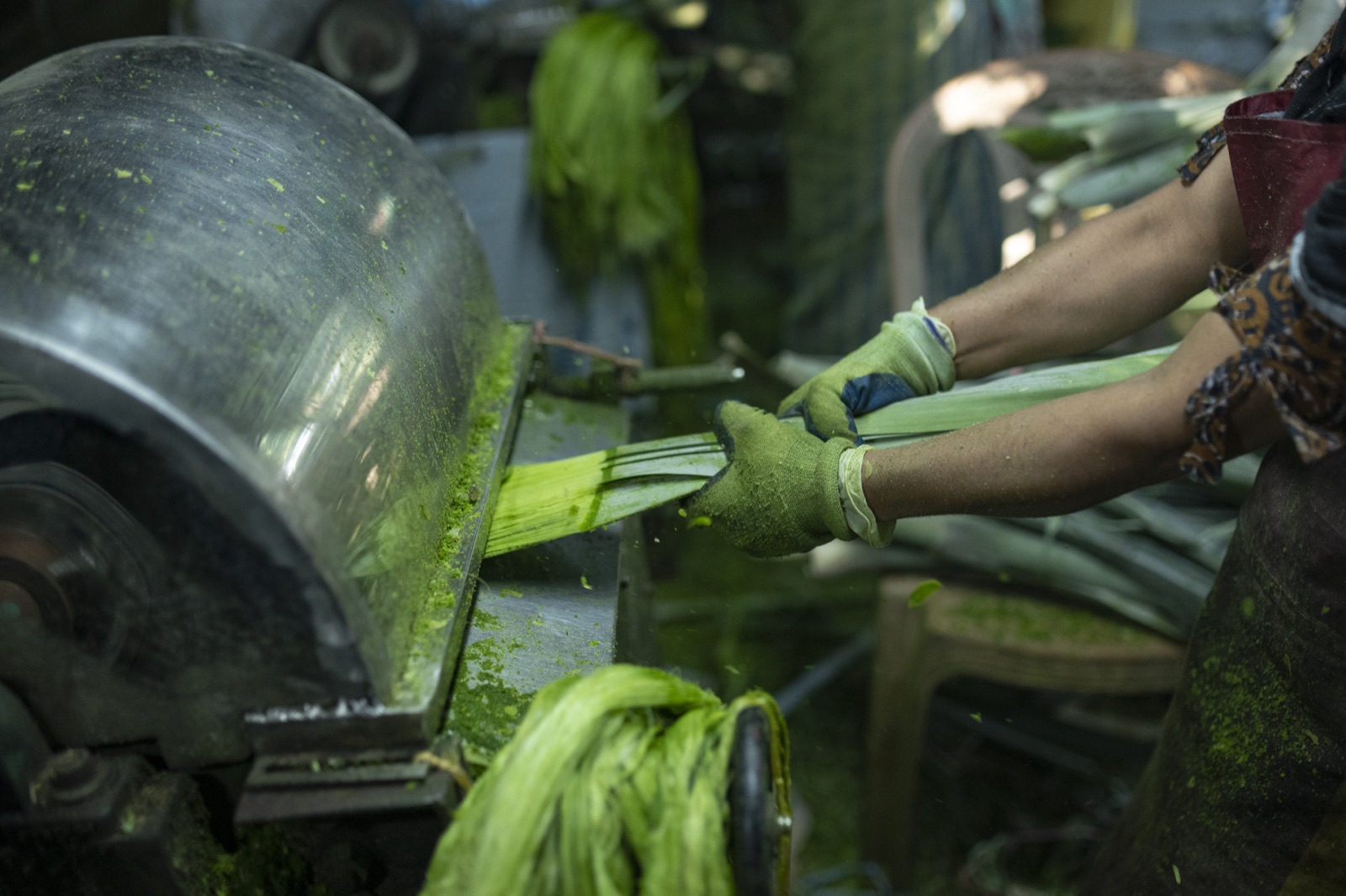 Re-Root-Tex production photo